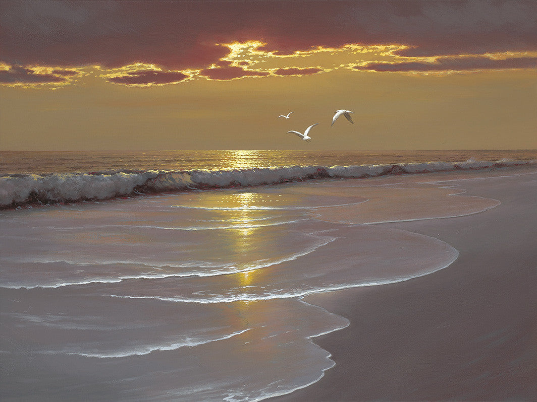 Sunlit Surf