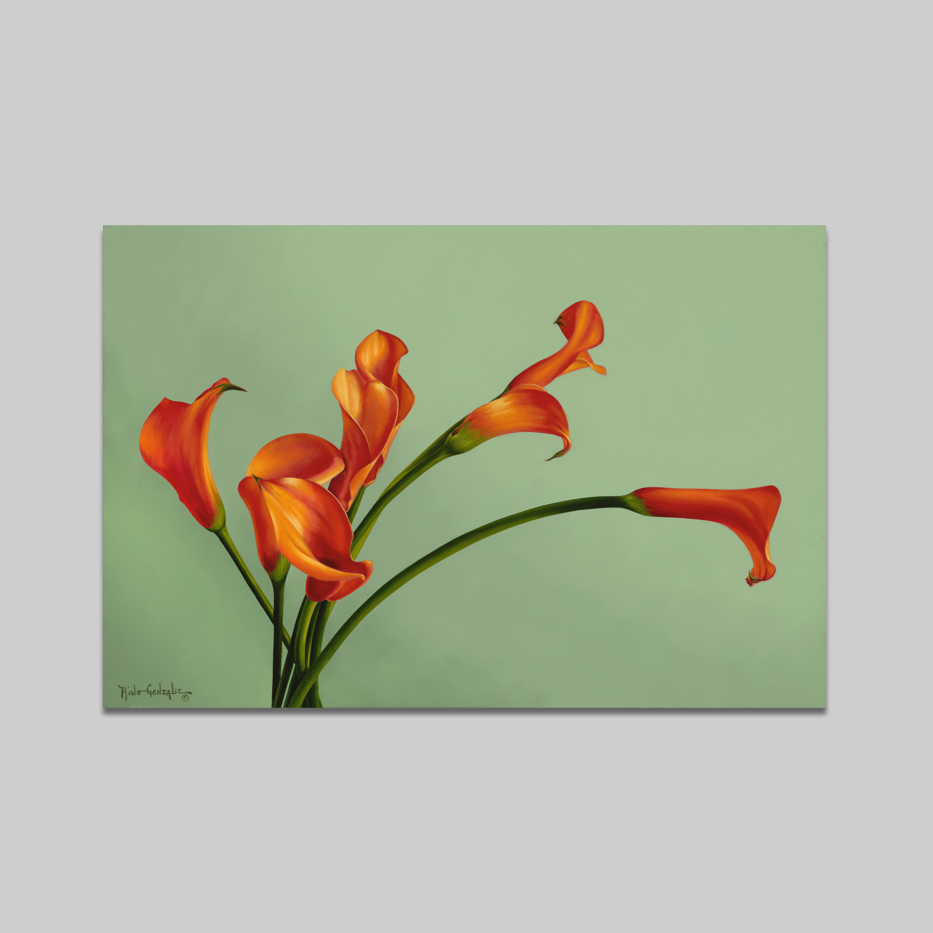 Island Flora