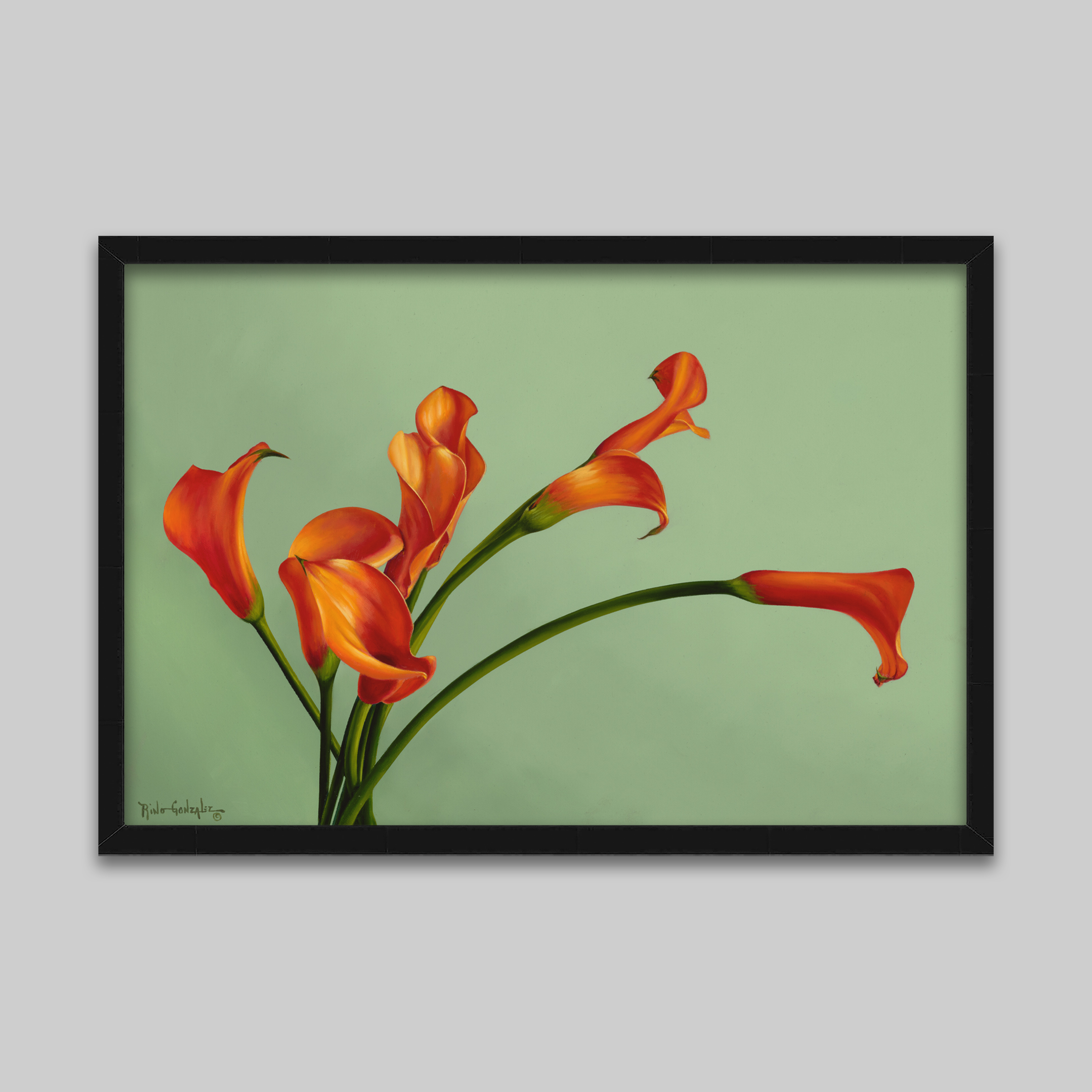 Island Flora